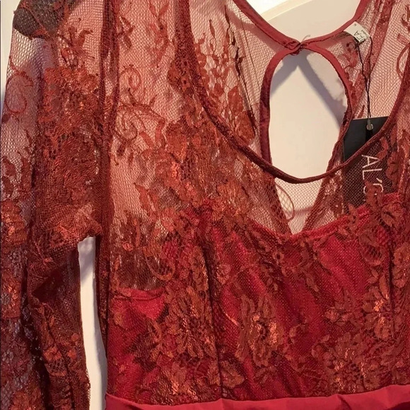 A-Line Lace Upper Body Dress - Picture 3 of 5